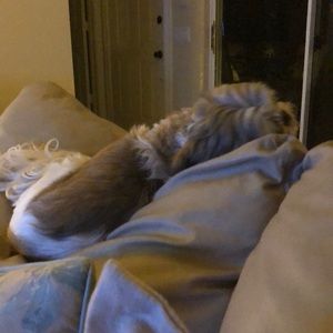 Meet your Posher, Sandra